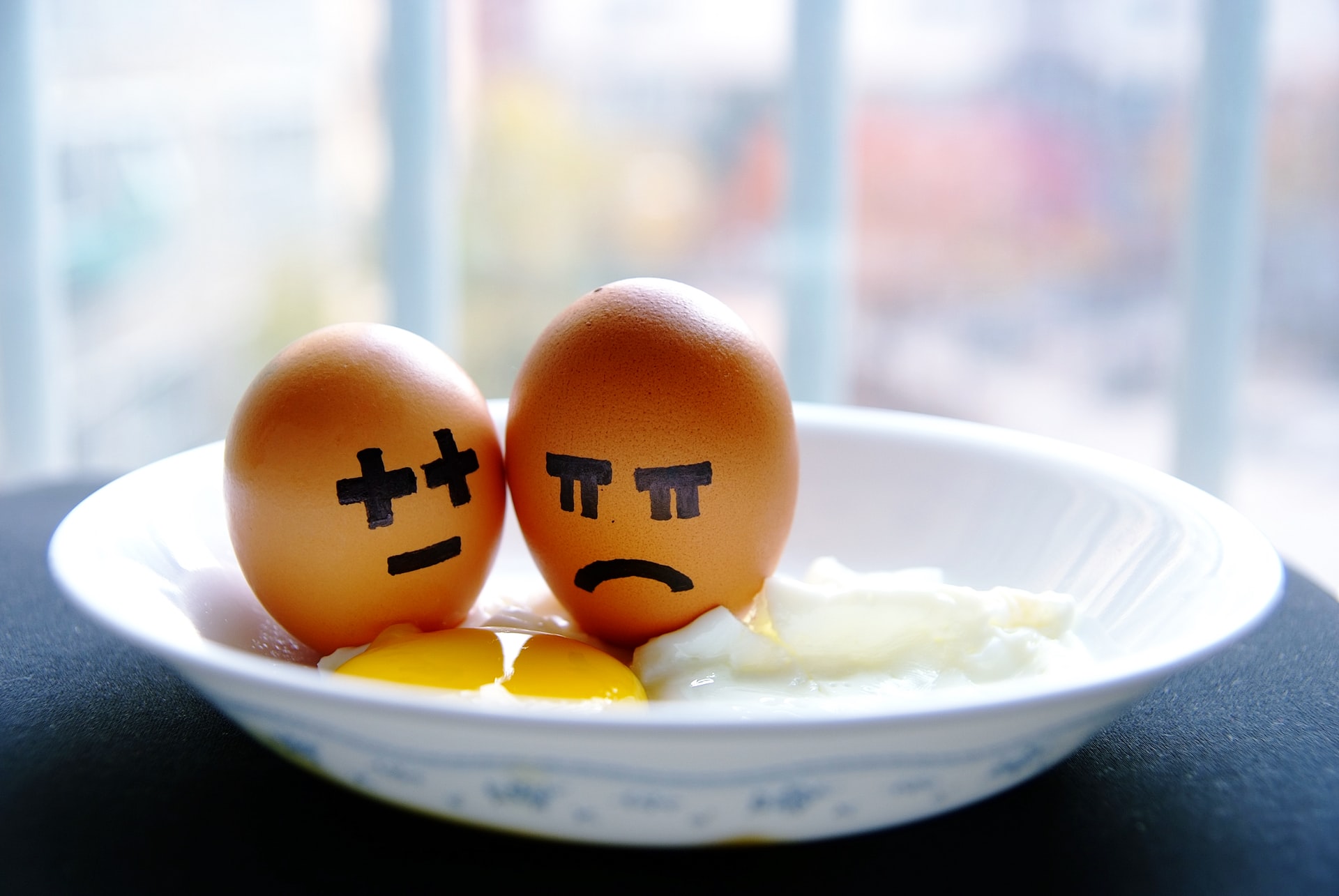 卵と挫折